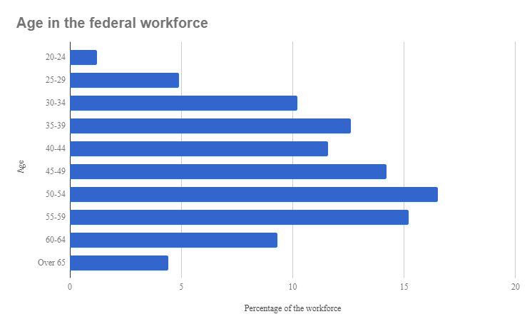 government workforce
